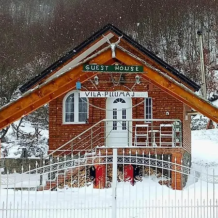 Jaktstuga Vilat Pllumaj Gropat e Selces