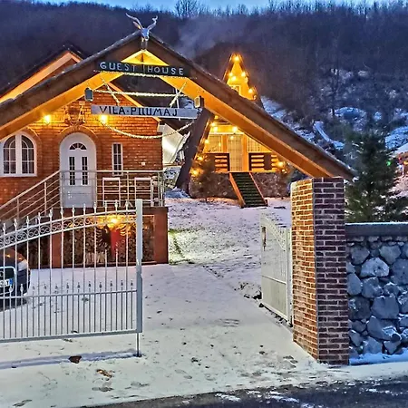 Vilat Pllumaj