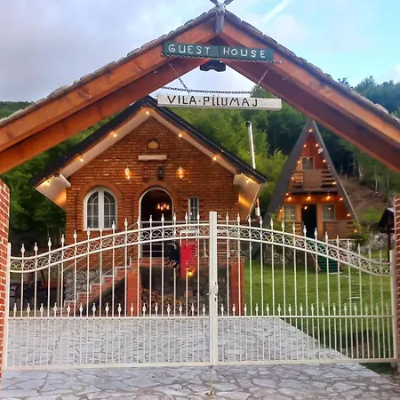 Vilat Pllumaj *