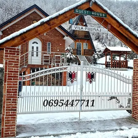 Vilat Pllumaj